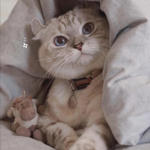 18禁裸体爆乳❌网站动漫
